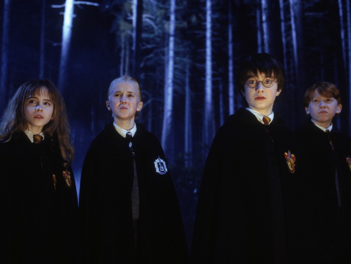 Hermione Granger, Draco Malfoy, Harry Potter, and Ron Weasley in the Forbidden Forest