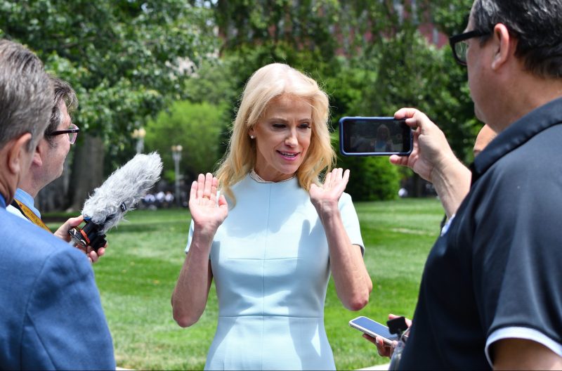Kellyanne Conway wears a blue dress on the White House lawn as she addresses reporters