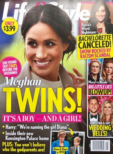 Meghan Markle Prince Harry Twins