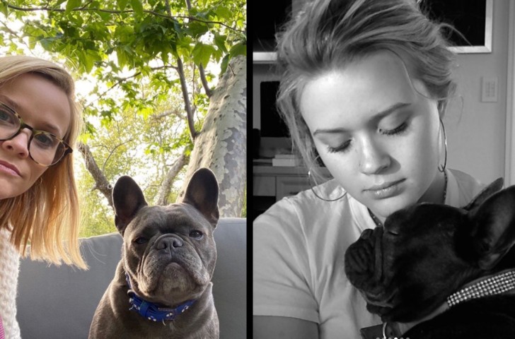 Reese Witherspoon taking a selfie with Pepper side by side with Ava Phillippe and Pepper