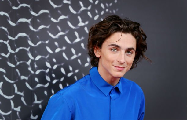 Timothée Chalamet in a blue shirt on the red carpet