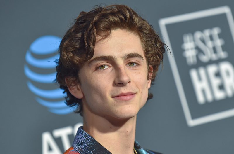 Timothee Chalamet in January 2019