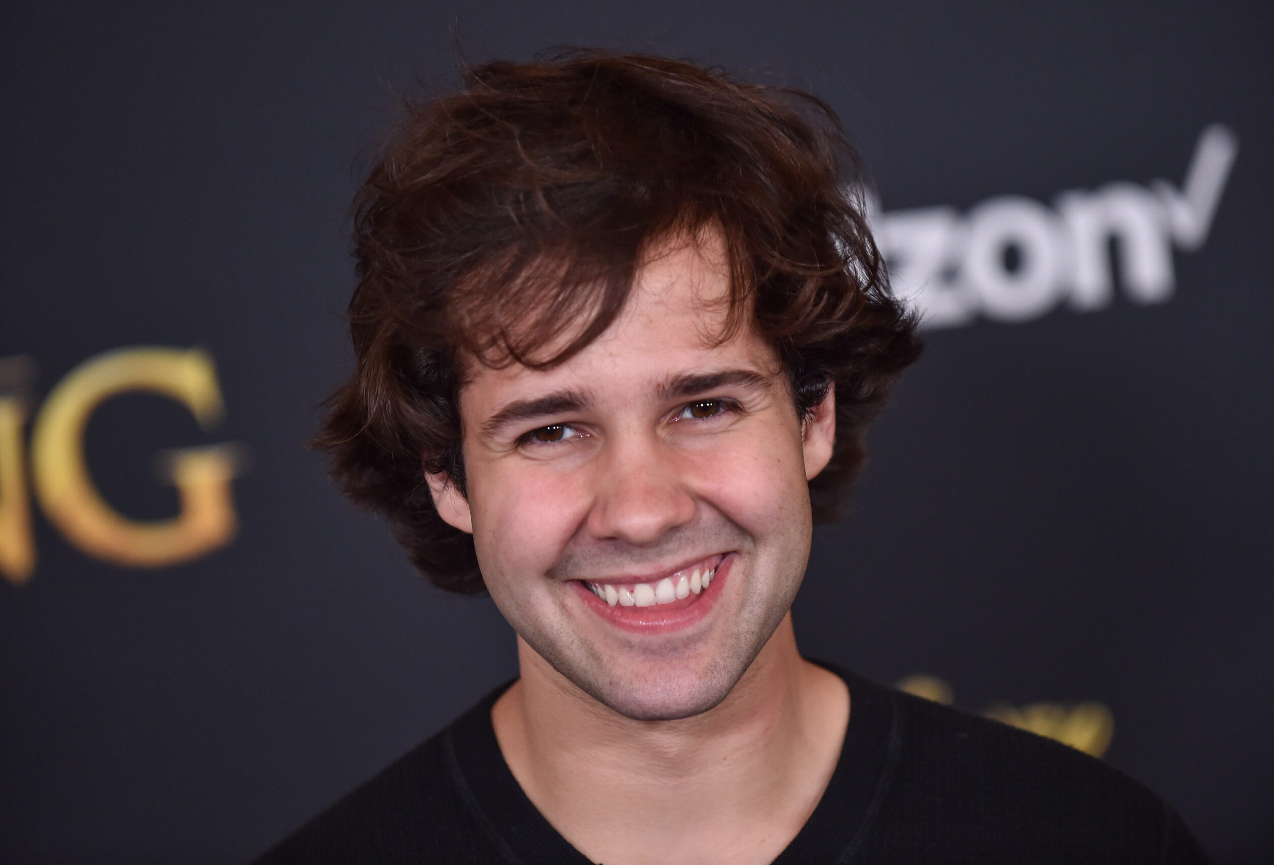 David Dobrik at 'The Lion King' World Premiere.