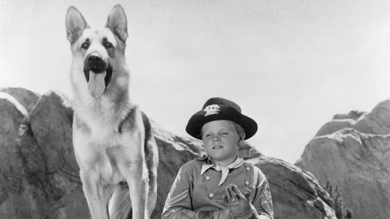 Lee Aaker wears his Rin Tin Tin costume and poses beside a German Shepherd