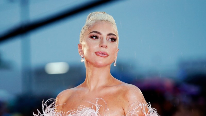 Lady Gaga wears a feathery pink dress on the red carpet