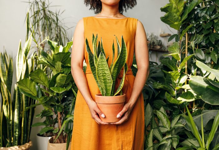 Image of woman holding plant.