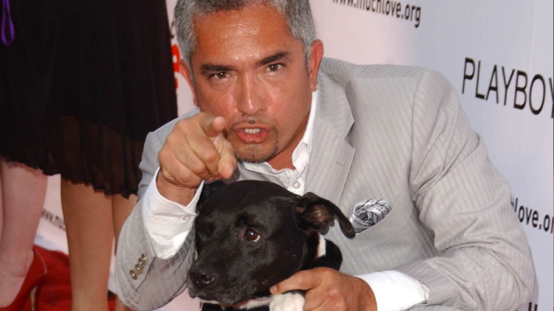 Cesar Millan wears a pale gray suit and points to the camera while holding a black dog