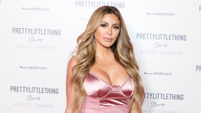 Larsa Pippen wears a pink dress against a white background on the red carpet