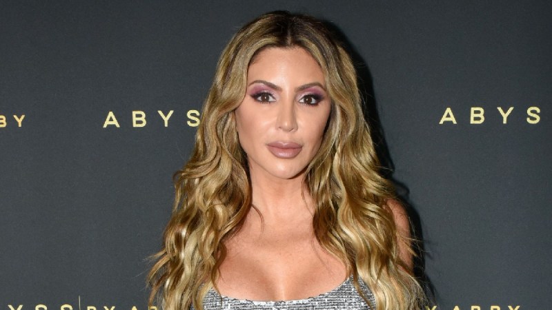 Larsa Pippen wears a silver dress against a dark background on the red carpet