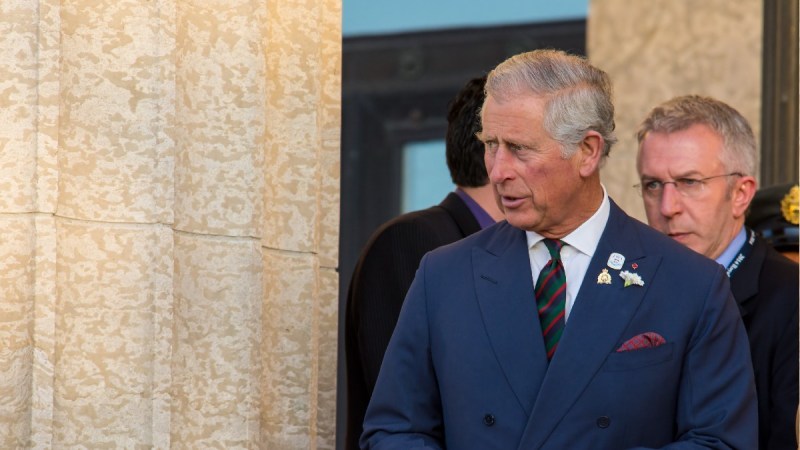 Prince Charles wears a blue suit and peers around a column