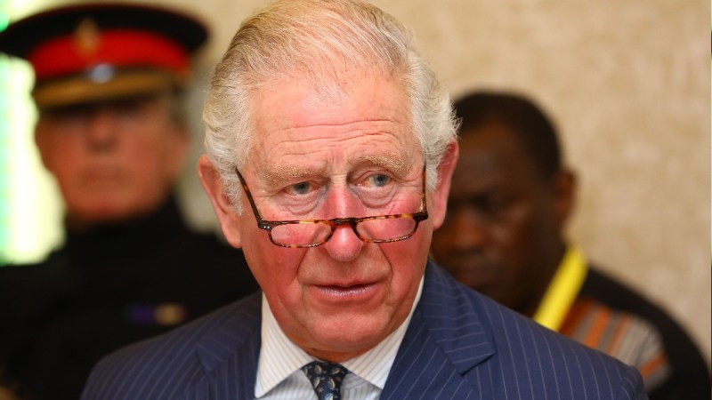 Prince Charles wears a stripped navy suit and a pair of glasses