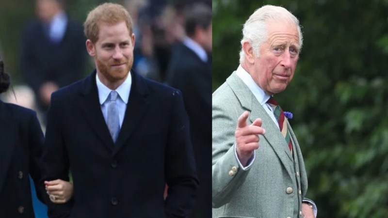 Prince Harry wears a dark suit and walks out doors. Prince Charles wears a gray suit and points while outdoors