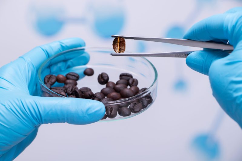 Image of coffee beans in lab