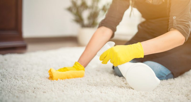Image of woman cleaning carpet