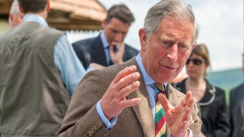 Prince Charles wears a brown suit and colorful tie outdoors at a royal event