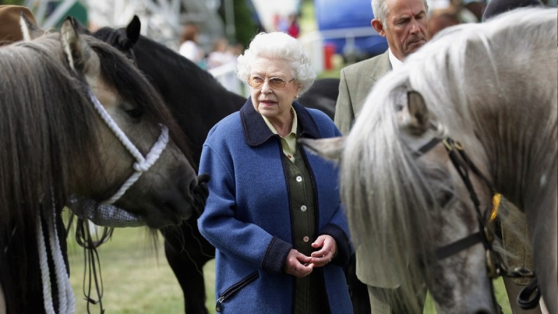 Queen Elizabeth views several horses during the Windsor Horse Show