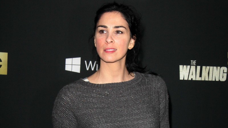 Sarah Silverman wears a gray sweater against a black background on the red carpet