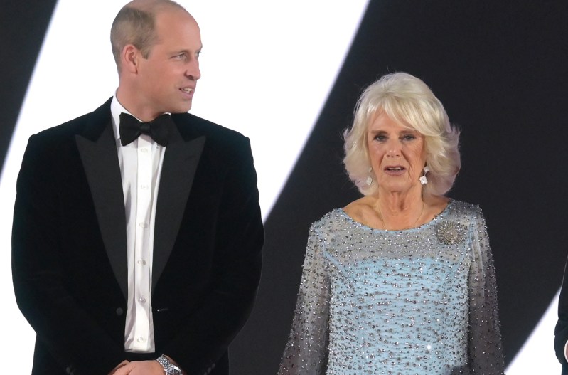 Prince William standing with Camilla Parker Bowles