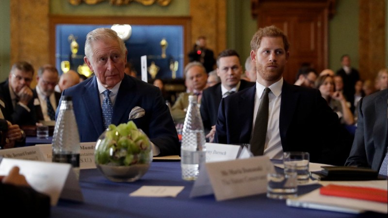 Prince Charles and Prince Harry wear dark suits at a conference