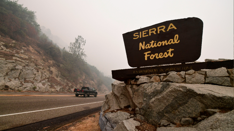 The welcome sign for the Sierra National Forest by the side of a two-lane highway
