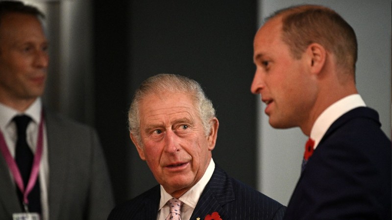 Prince Charles looks up at his son Prince William