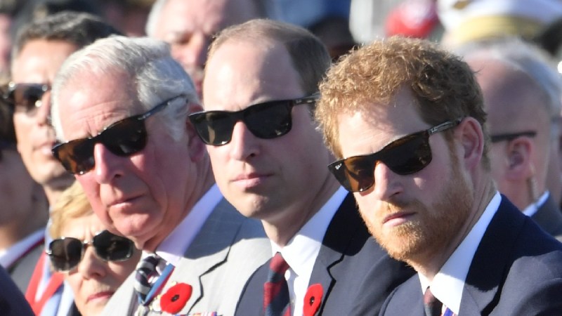 Prince Charles, William, and Harry wear dark suits and sunglasses during a royal event