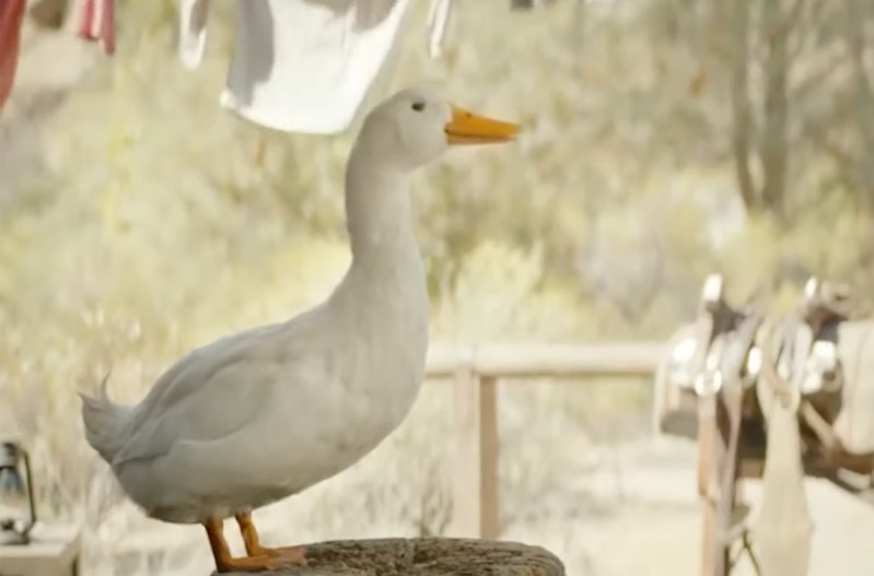Screenshot of the Aflec duck from a commercial
