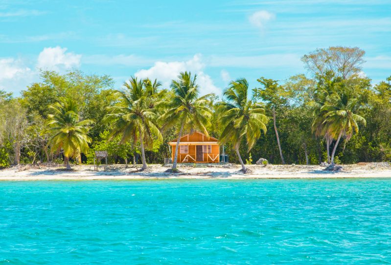 Photo of wooden cabin on beach near coconut trees