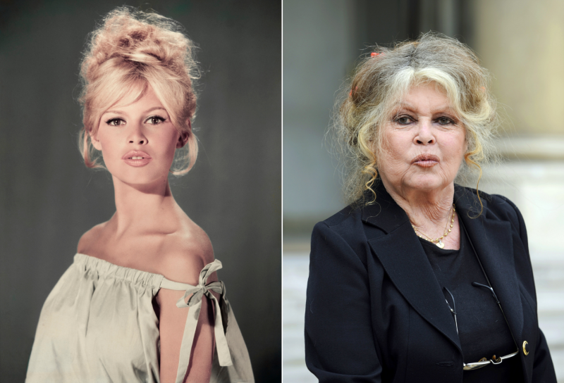 Side by side of young and old photos of Brigitte Bardot