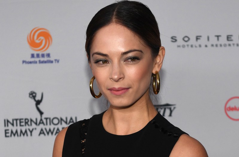 Close up of Kristin Kreuk smiling slightly.