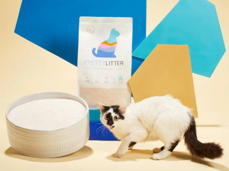 Cat with litter box and bag of PrettyLitter