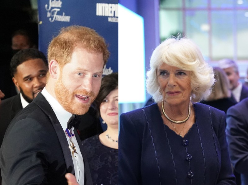 Split image of Prince Harry and Camilla Parker Bowles