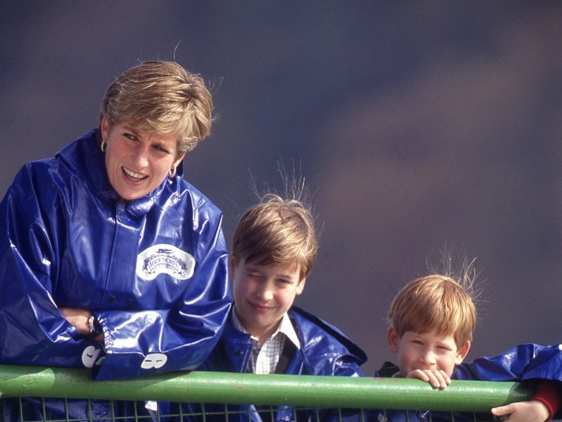(From L to R): Princess Diana, young Prince William, and young Prince Harry peer over green partition outdoors