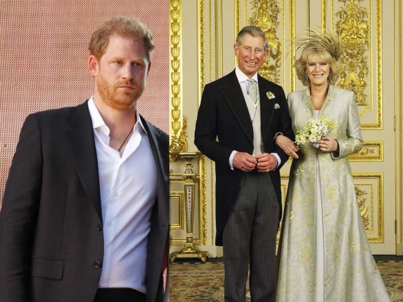 split image of Prince Harry and Prince Charles/Camilla Parker Bowles