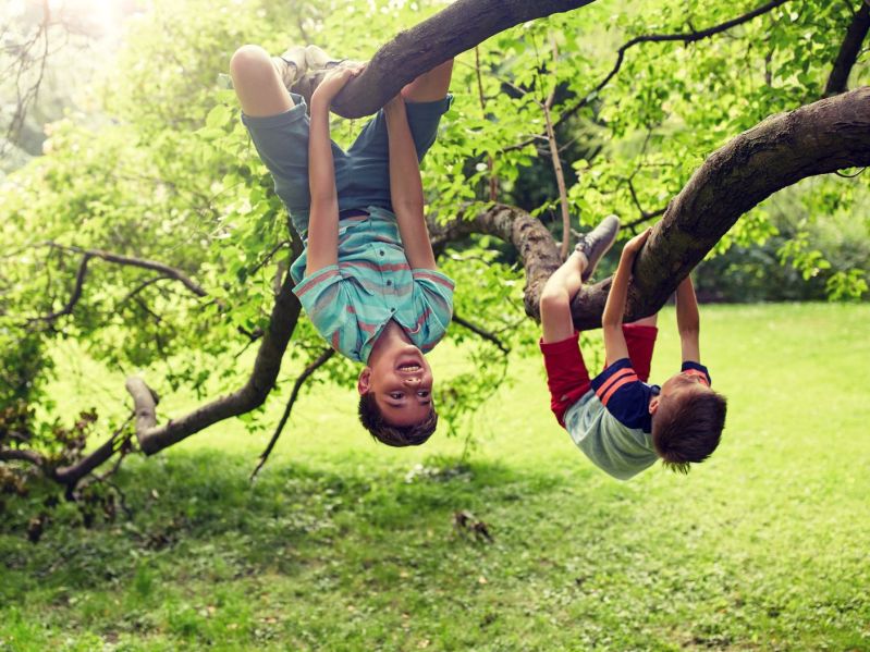 two kids hanging upside down on tree branches