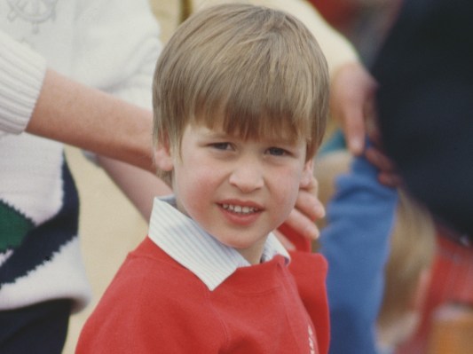 A closeup of a young Prince William (roughly 4 or 5 years old), wearing a red sweater over a white dress shirt
