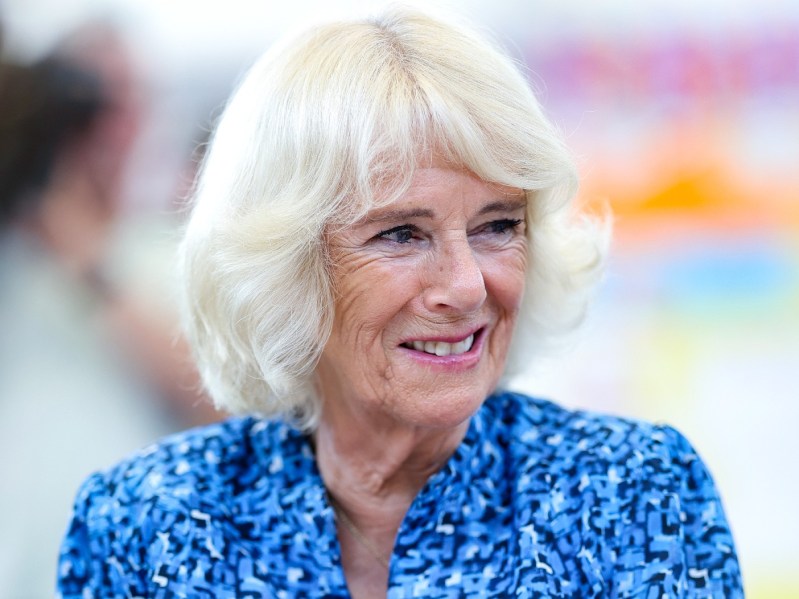 Closeup of Camilla Parker Bowles smiling in blue patterned dress