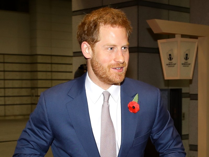 Prince Harry looks off to the side while wearing navy blue suit jacket over white dress shirt and mauve tie