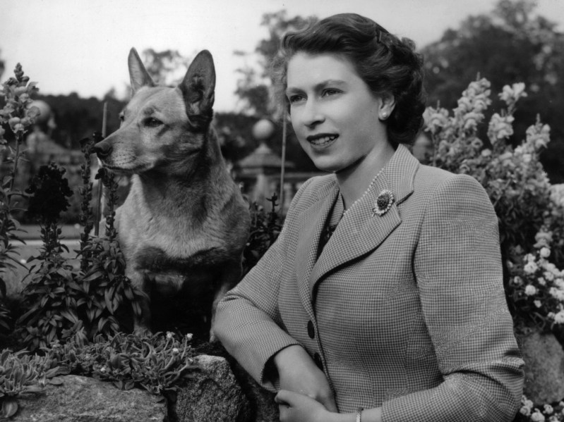 A young Queen Elizabeth (R) standing next to her dog in black and white photo