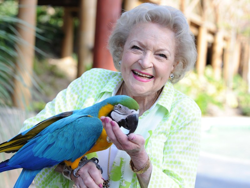 Betty White smiles in green shirt while holding a large blue macaw