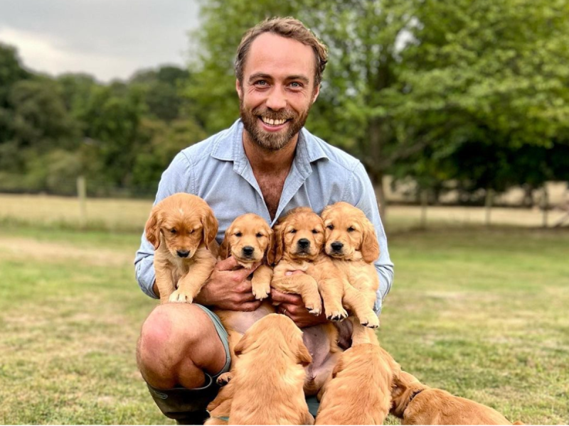 James Middleton smiles in blue top outdoors holding four Golden Retriever puppies in his arms
