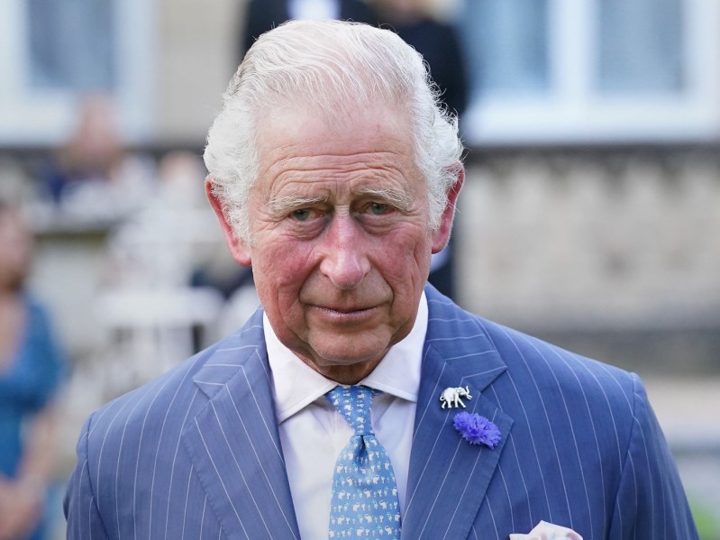 King Charles III looking ahead in blue pinstriped suit