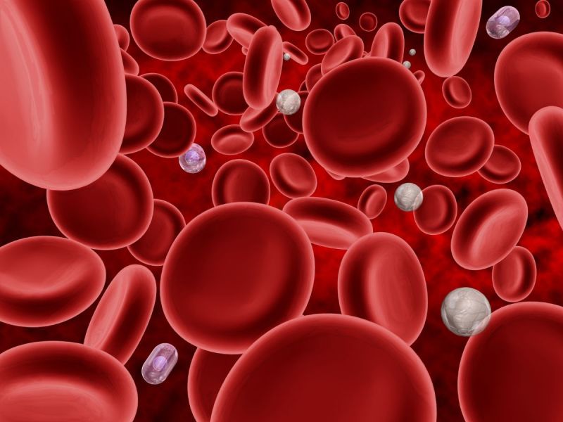 an illustration of red and white blood cells plus platelets