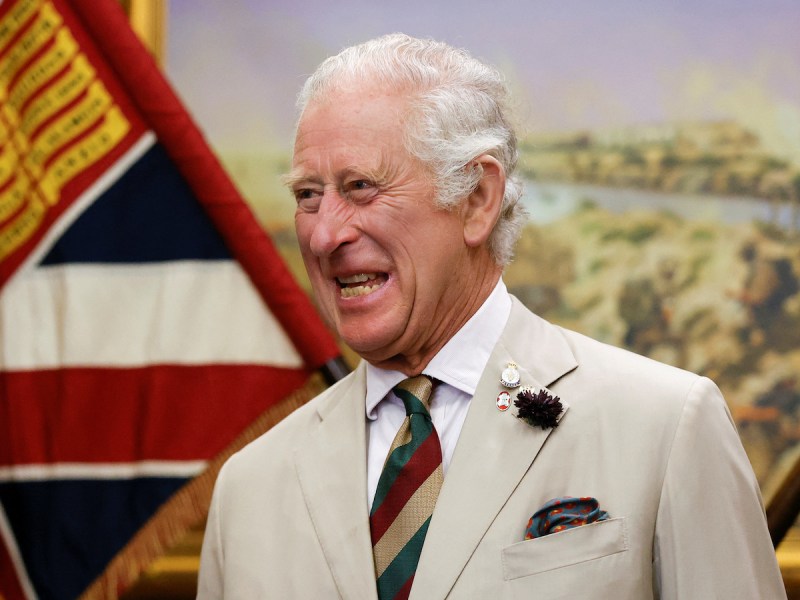 King Charles smiling in a tan suit
