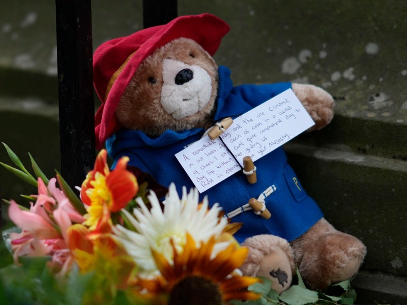 A Paddington Bear plush sits in a bed of flowers