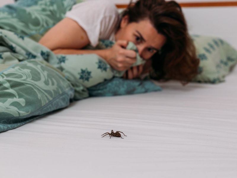 Woman scared of spider hiding under blankets