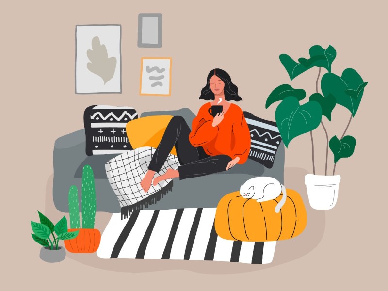 Stock image illustration of a woman sitting on a gray couch surrounded by a cat, plants, and art on the wall