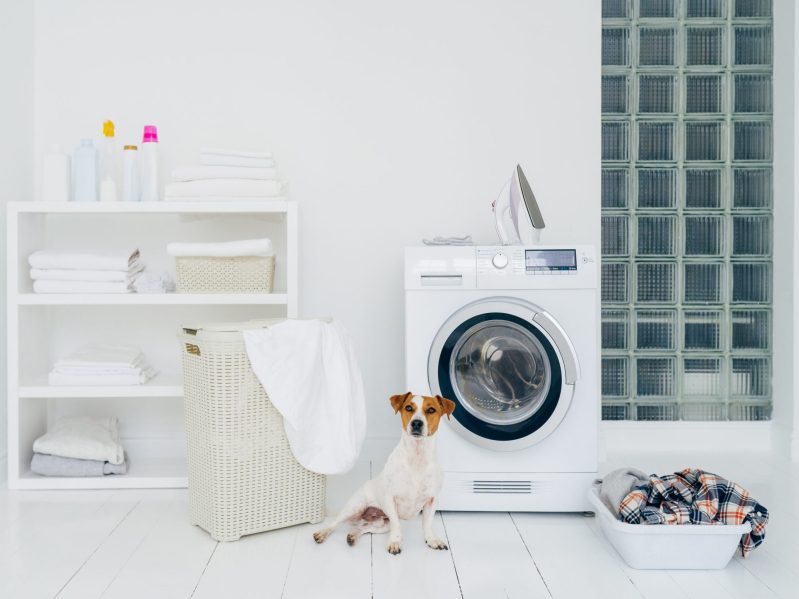 A dog sitting next to a pile of laundry and a washing machine.
