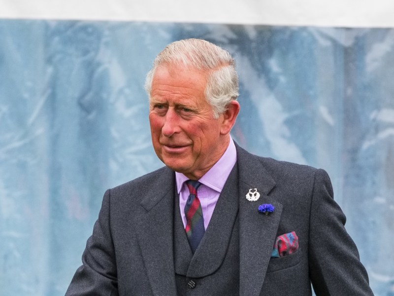 King Charles in a grey and purple suit outdoors