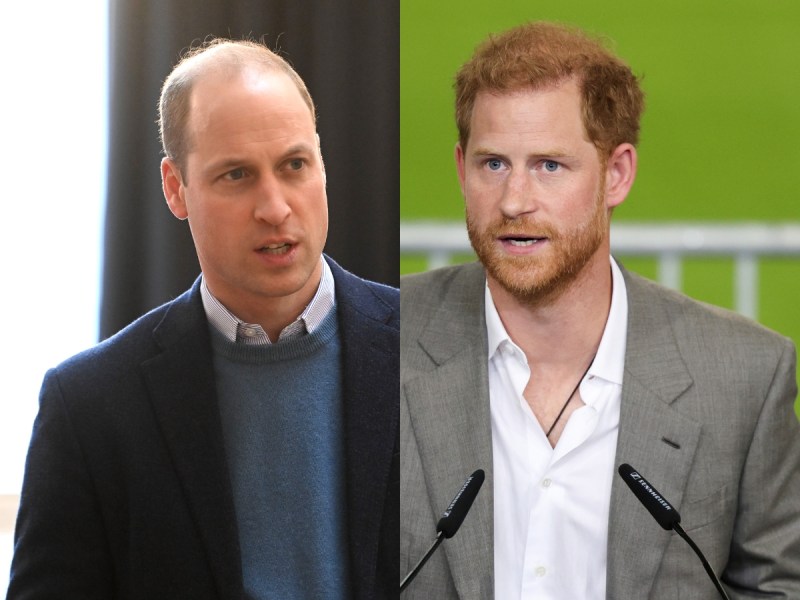 side by side close ups of Prince William and Prince Harry in suits